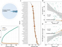 中国农业大学动物科技学院胡永飞教授团队在产气荚膜梭菌基因组学分析和潜在治疗策略研究中取得重要进展