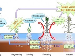 西北农林科技大学水保所在黄土高原旱地作物持续高产研究取得新进展