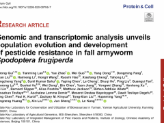 云南农业大学研究团队成功破译草地贪夜蛾耐药基因组