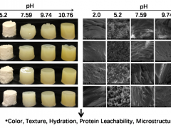 南京林业大学王耀松副教授在食品科学领域一区TOP期刊《Food Hydrocolloids》发表学术论文