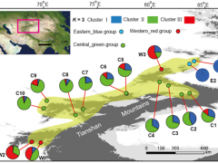 中国科学院新疆生地所在新疆野苹果谱系地理和保护遗传研究中获进展