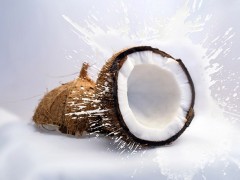 椰子肉的功效与副作用