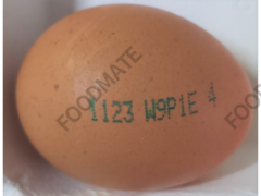 韩国召回、销毁氟氯菊酯超标的鸡蛋