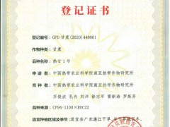 中国热科院南亚所选育的甘蔗新品种“热甘1号”获农业农村部品种登记证书