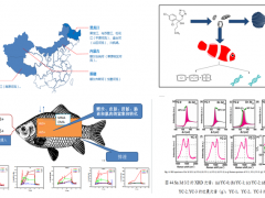 黑龙江所“三北地区重点渔业水域典型污染物快速识别与削减控制技术研究与应用”通过成果评价