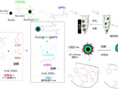 中国检验检疫科学研究院研制系列新型磁性材料并应用于农药残留检测和食用油脂改性