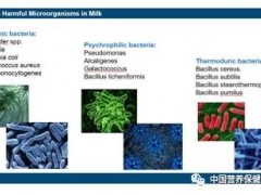 中国乳制品有害微生物的溯源、控制与检测