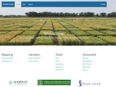 小麦功能基因定位及基因组研究平台建成并成功应用