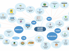 食品发酵工业研究院主任姚粟:乳制品益生菌菌株精准鉴定及特征评价技术研究