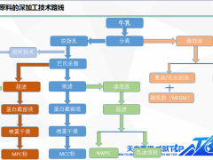 蒙牛乳业集团战略创新总监陈云：牛乳深加工研究进展